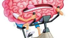 brain, exercise, treadmill